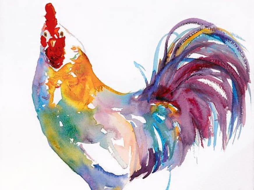 Contoh Gambar Ilustrasi Ayam