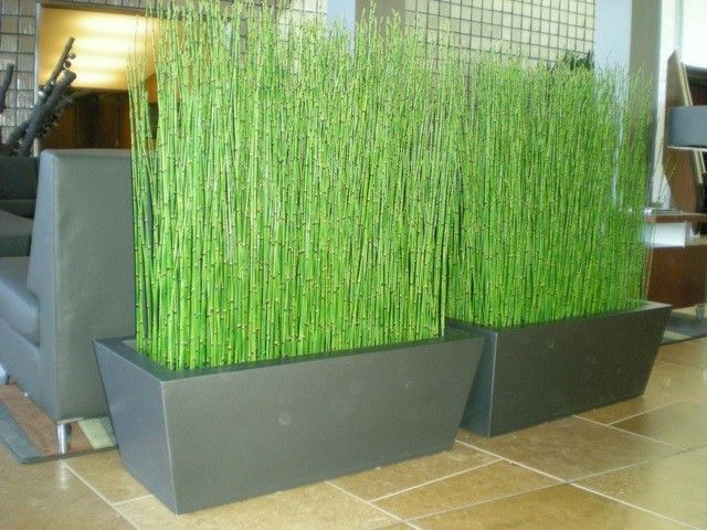 Bambu Air 