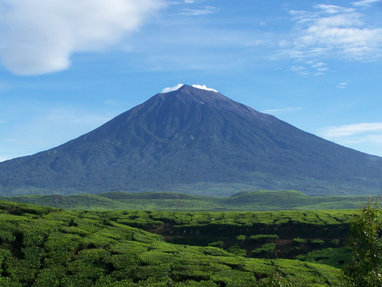 10+ Gunung Tertinggi di Indonesia Yang Wajib Untuk Di kunjungi