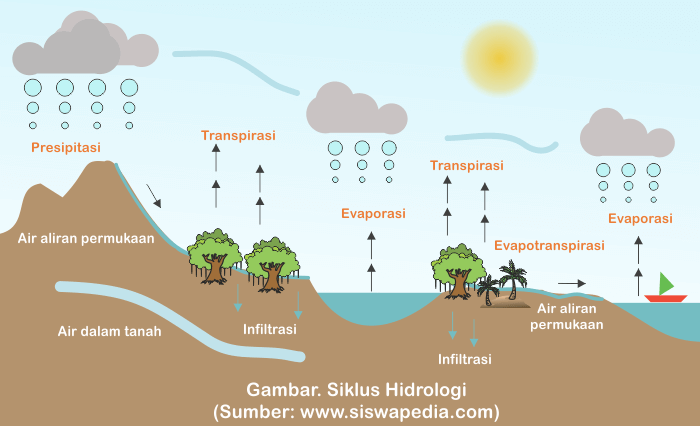 Macam-Macam Siklus Hidrologi